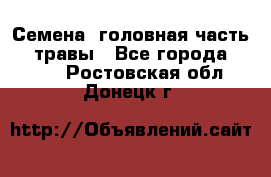 Семена (головная часть))) травы - Все города  »    . Ростовская обл.,Донецк г.